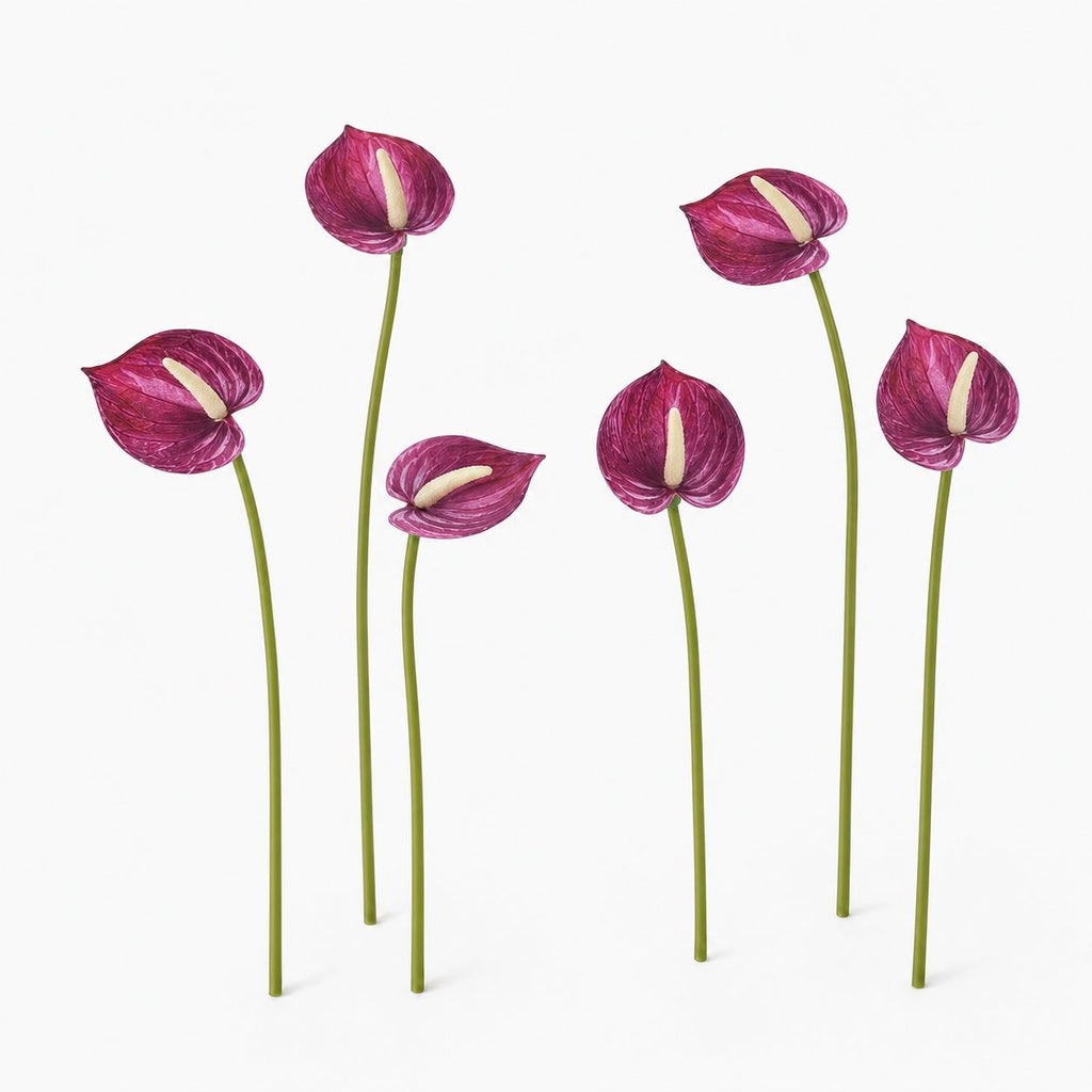 Plum Real Touch Artificial Anthurium Stems, Set of 6, 11 Inch