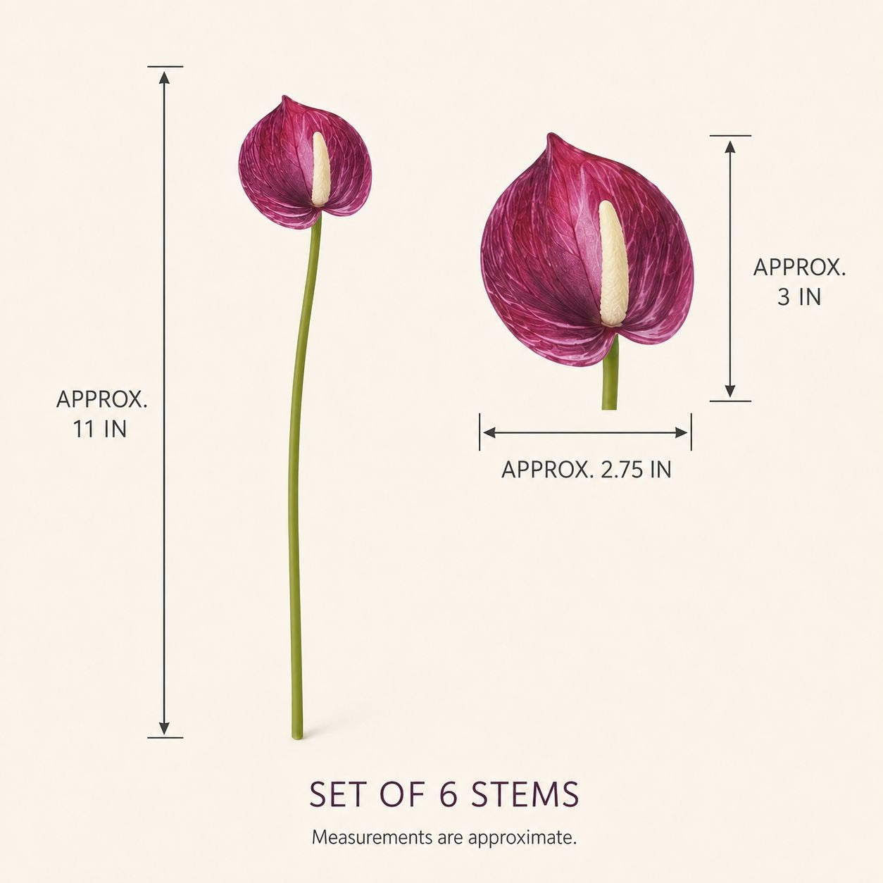 Illustrated product diagram showing two flowers with dimension callouts: one tall stem labeled approximately 11 inches and one shorter flower labeled approximately 3 inches wide by 2.75 inches.