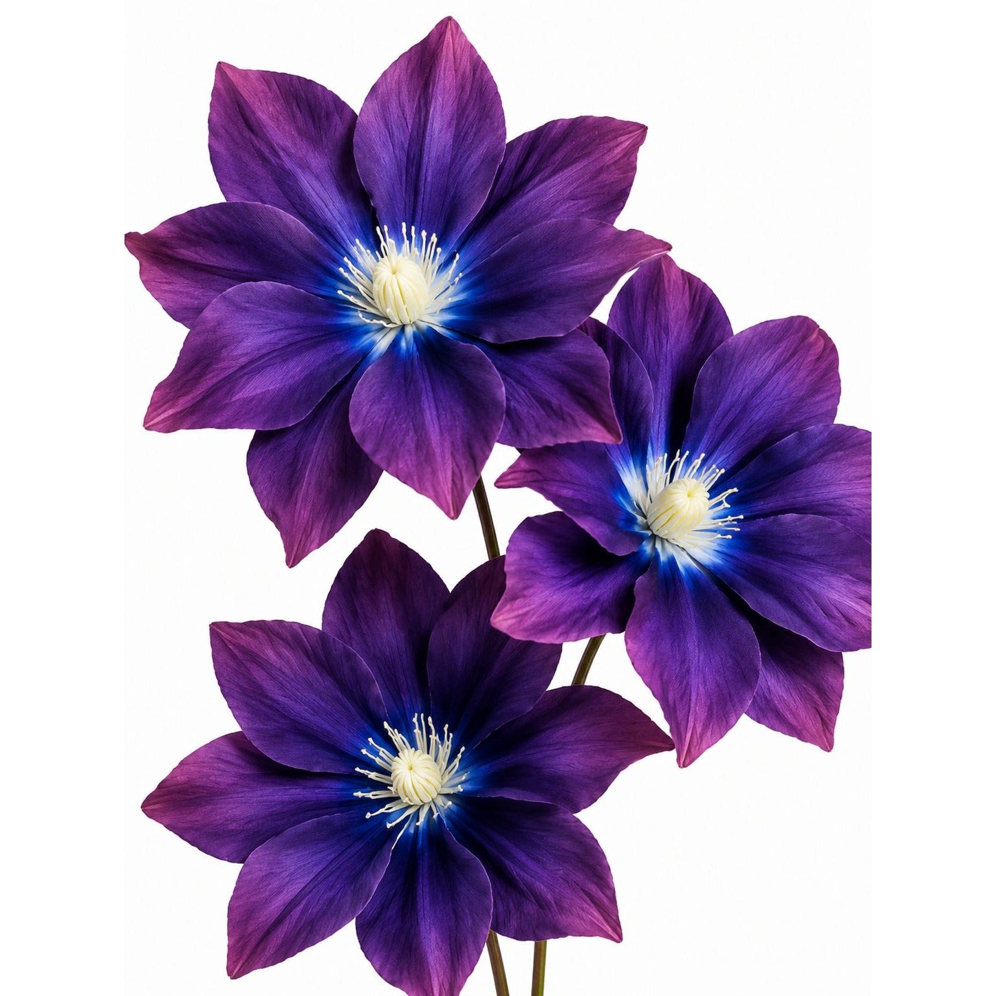 Purple Clematis Artificial Flowers 2 Stems Faux Clematis Spray Wedding Arch Flowers Gothic Cottage Decor