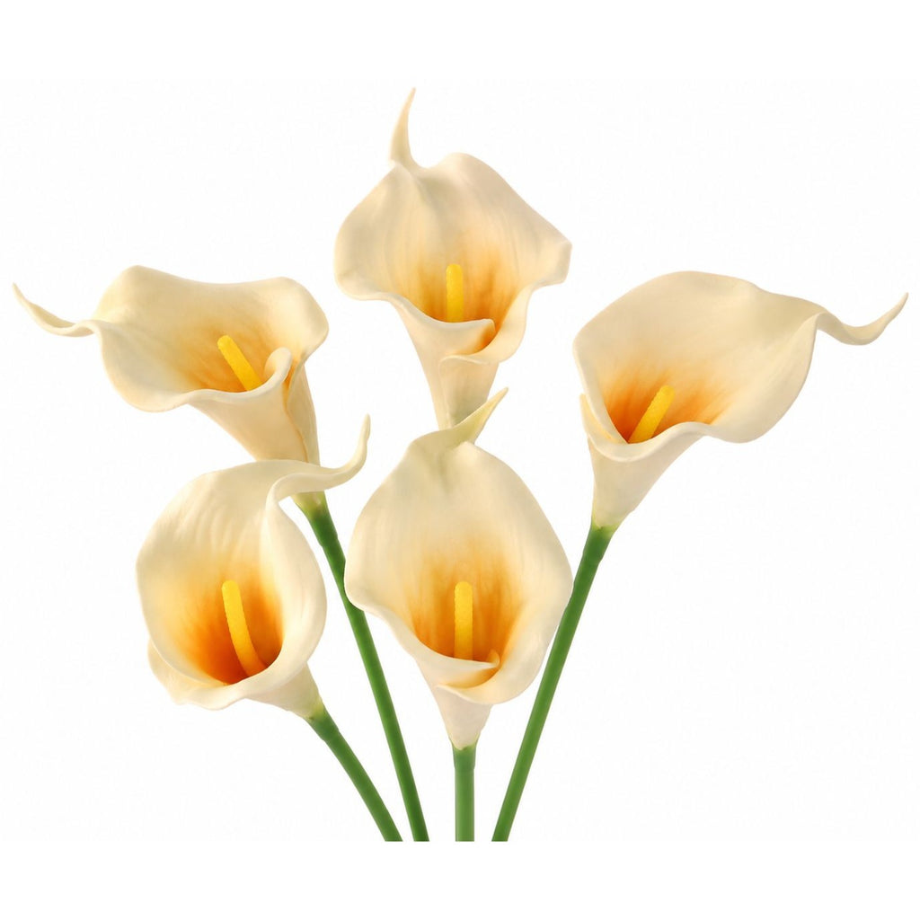 Peach Cream Calla Lily Stems, Set of 5, 15-Inch Artificial Flowers
