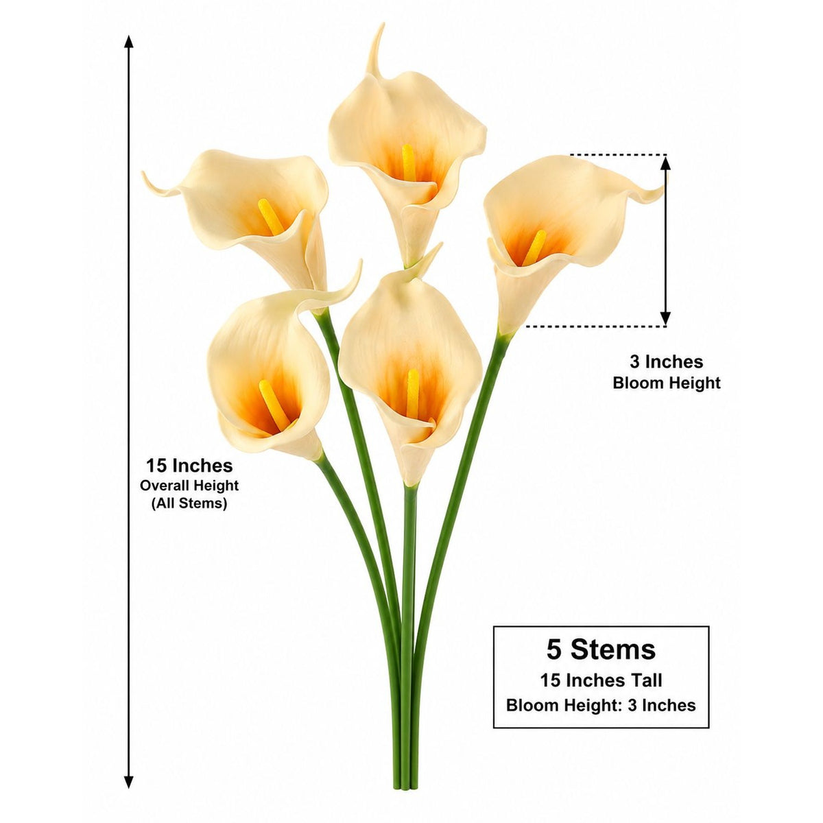 Five artificial cream calla lilies with green stems on a white background, with measurement annotations showing an overall height of 15 inches, a bloom height of 3 inches, and a note indicating 5 stems.