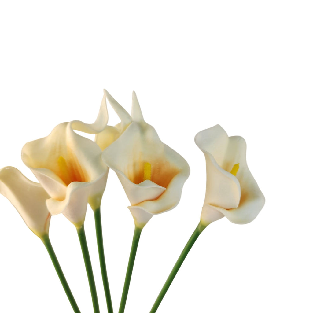 Four artificial cream calla lilies with green stems on a solid white background.