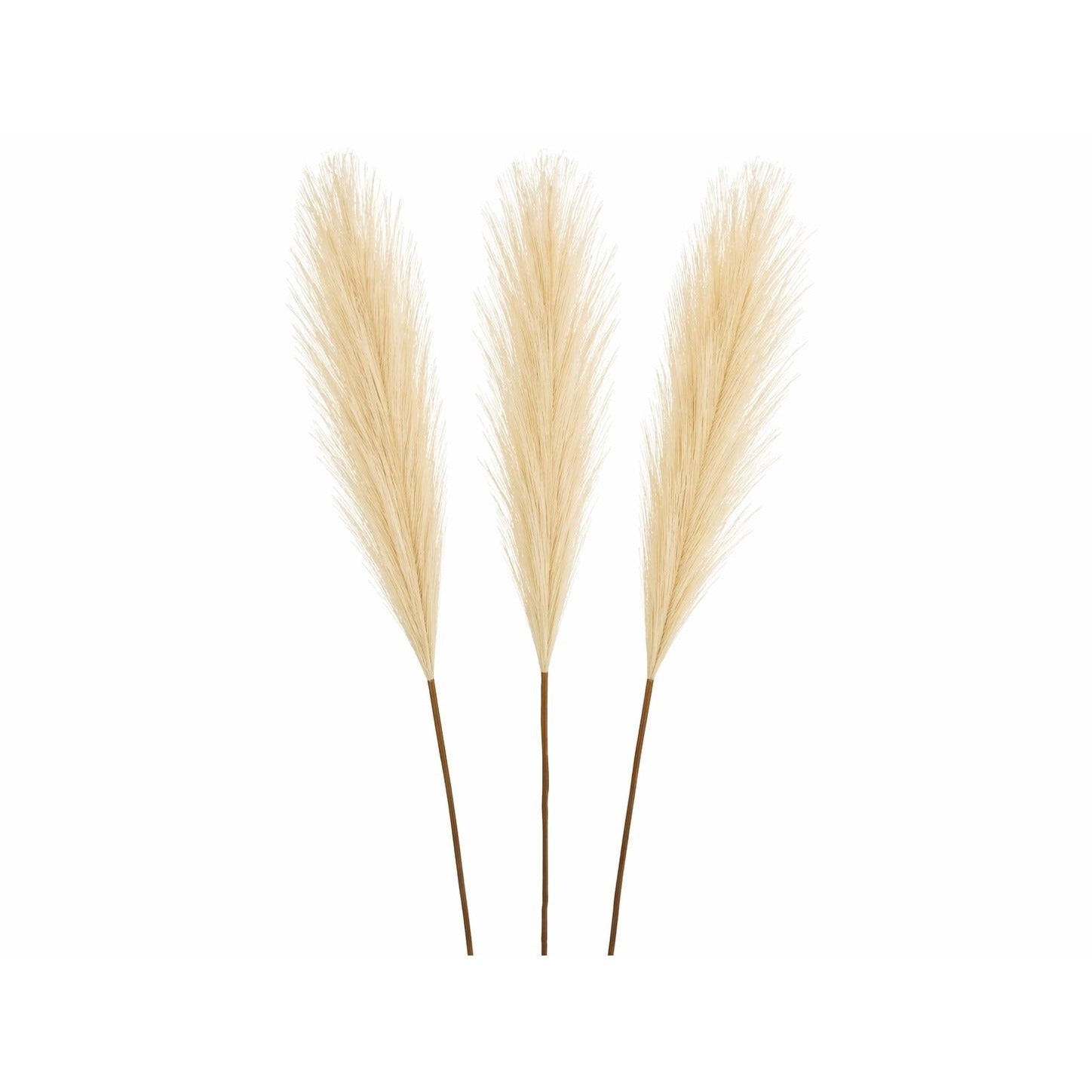 Cream Pampas Grass 3 Stem Faux Pampas Beige Boho Decor Neutral Vase Filler Farmhouse Floral Stems Minimalist Home Decor