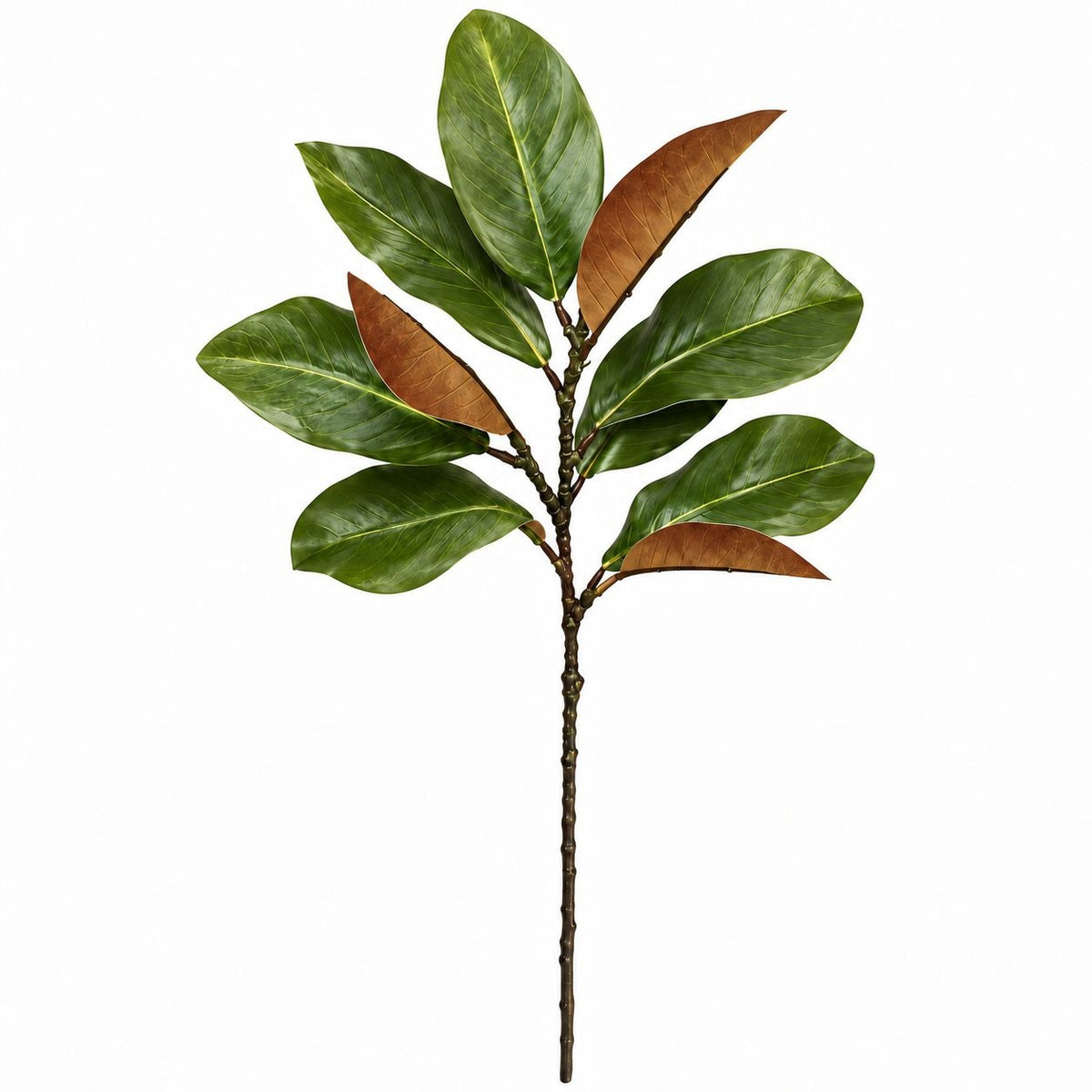 Faux Magnolia Leaf Stem, 21 Inch Green and Brown Foliage, 10 Leaves