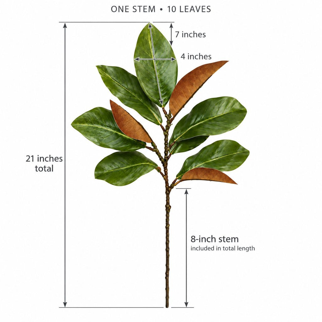 An artificial leaf stem, Faux Magnolia Leaf Stem, 21 Inch Green and Brown Foliage, 10 Leaves with green and brown leaves, shown with dimension lines and text indicating a total height of 21 inches, an 8-inch stem length, and leaf measurements of 7 by 4 inches.
