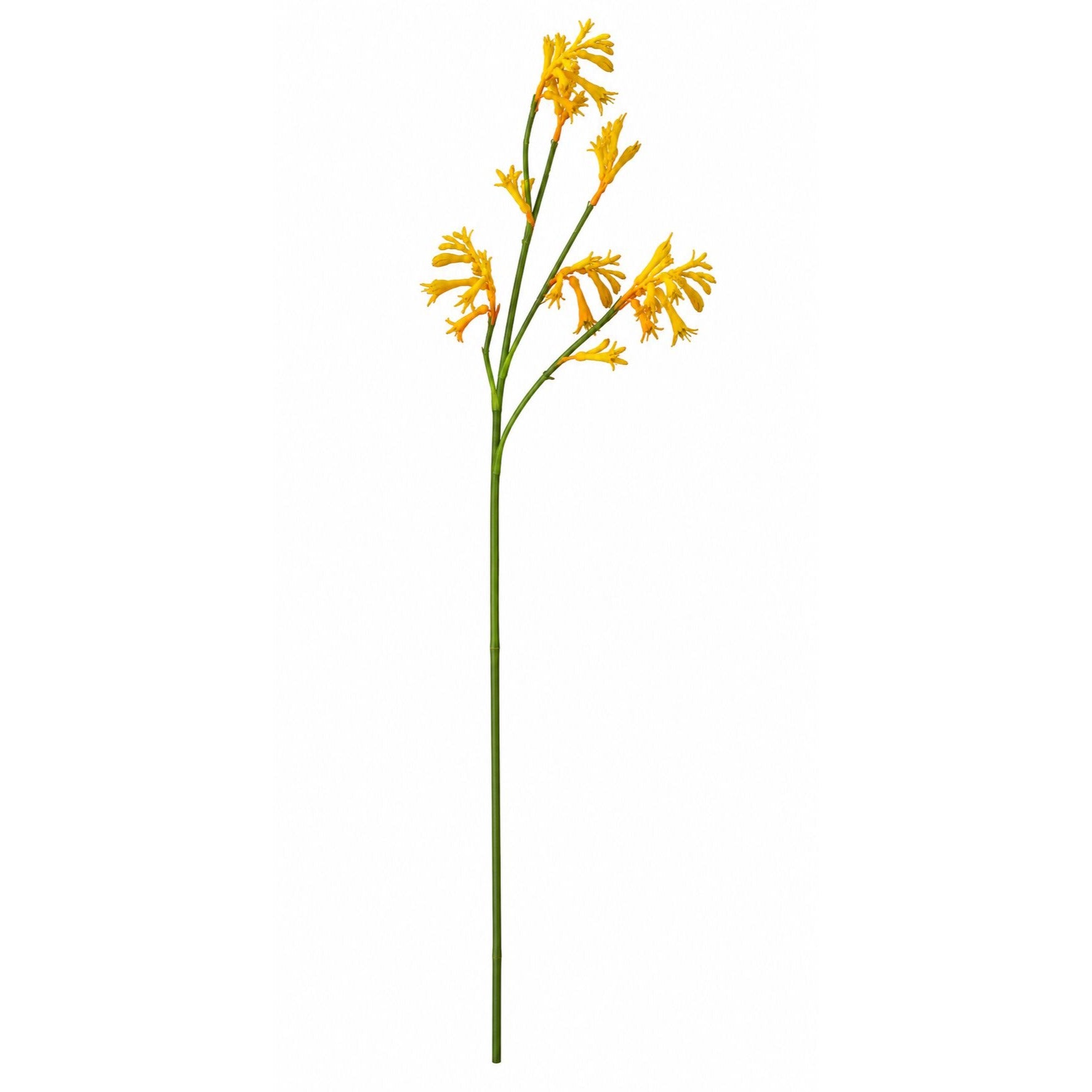 Artificial Kangaroo Paw Flower Stem 24 Inch Yellow Orange Real Touch Australian Native Wildflower Floral Decor