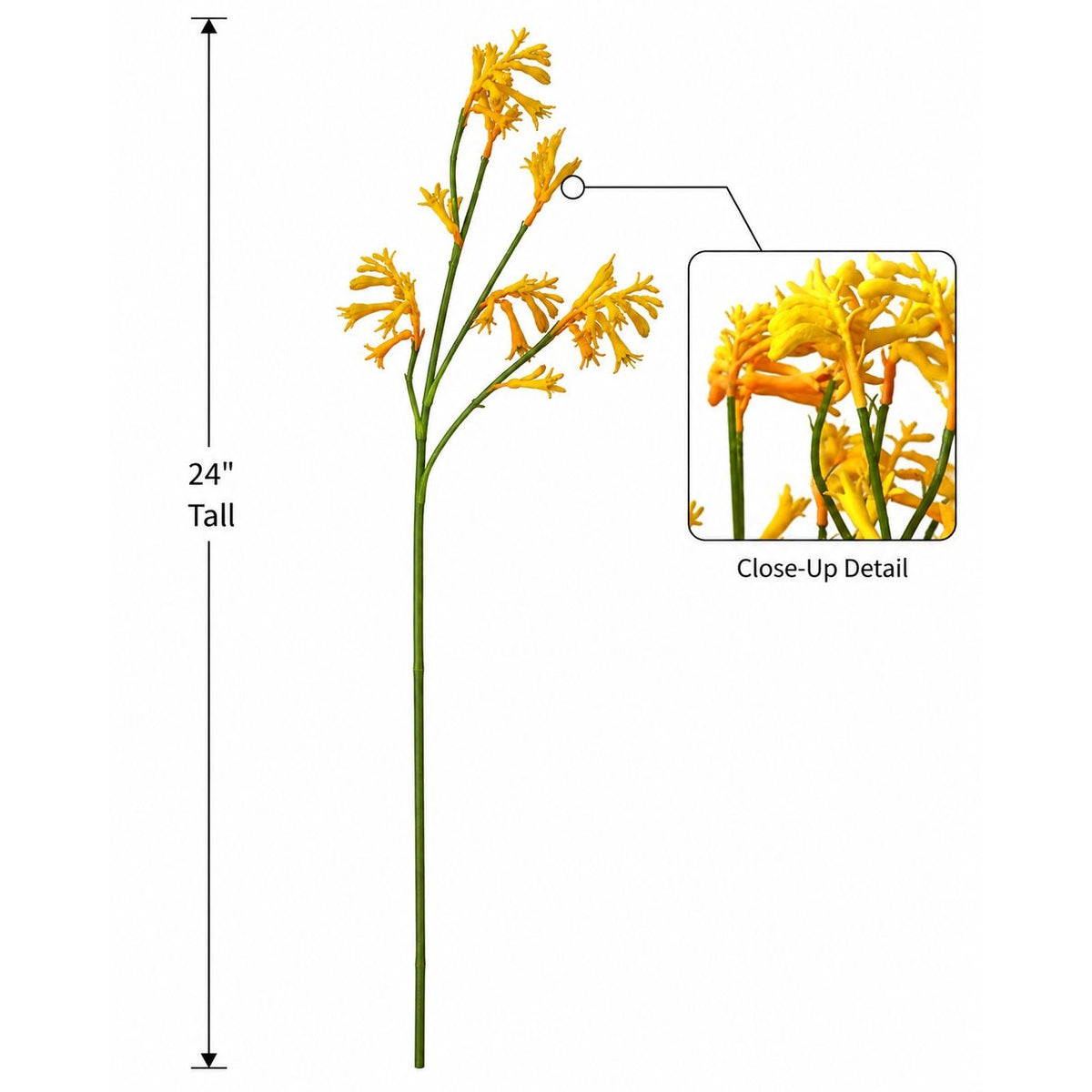 Artificial Kangaroo Paw Flower Stem 24 Inch Yellow Orange Real Touch Australian Native Wildflower Floral Decor