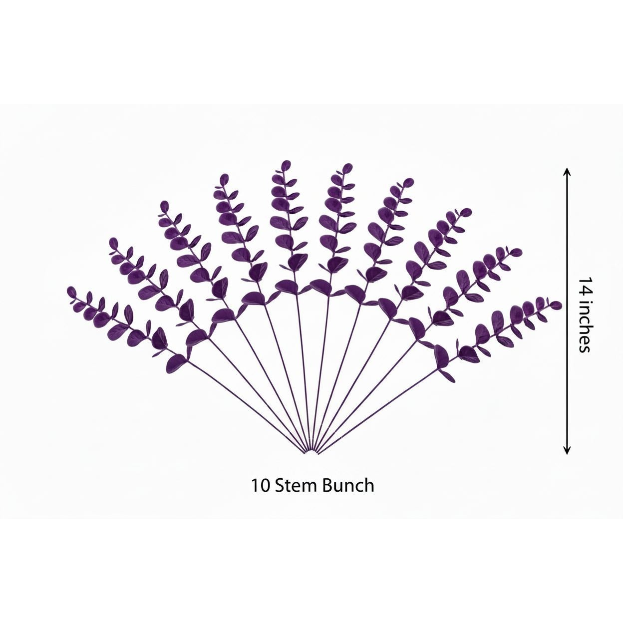 A 10-stem leafy greenery bundle in a fan shape, shown with a vertical dimension marker indicating 14 inches and the text '10 Stem Bunch' on a plain white background.