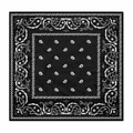 Black White Paisley Wild Rag Scarf 26x26 Western Cowgirl Bandana Satin Polyester
