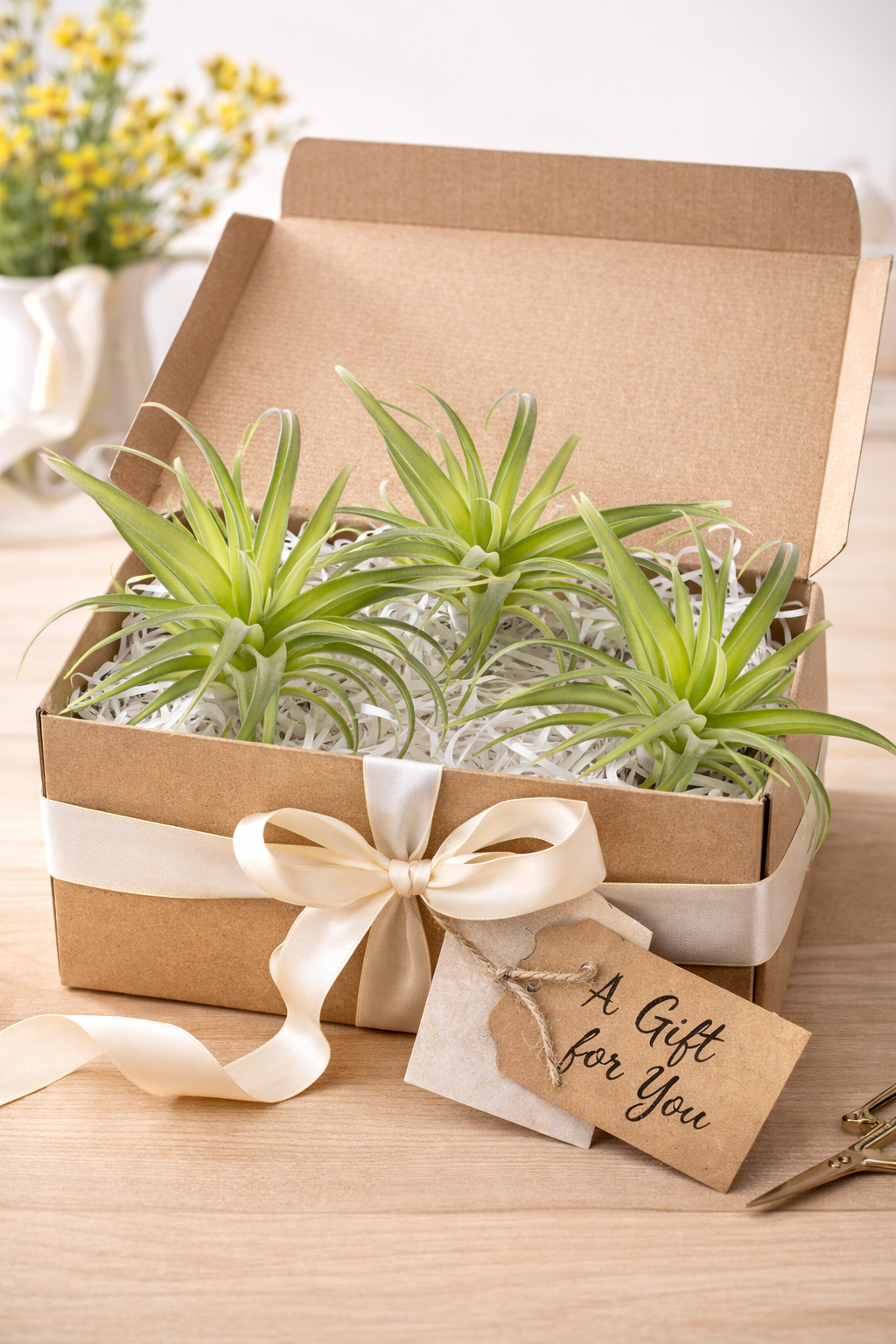 Artificial Air Plant Set of 3 Real Touch Faux Tillandsia Plants Small Faux Air Plants Greenery Home Decor