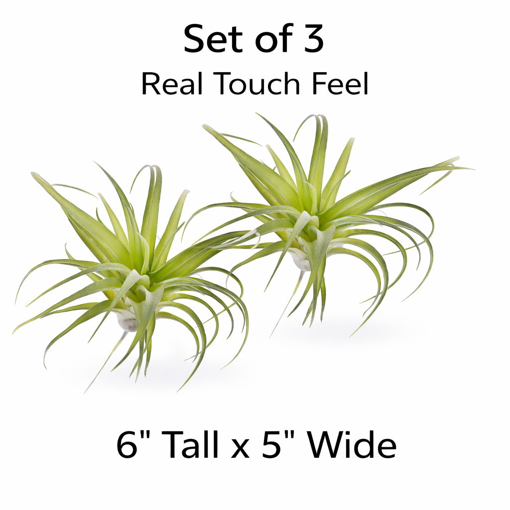 Artificial Air Plant Set of 3 Real Touch Faux Tillandsia Plants Small Faux Air Plants Greenery Home Decor