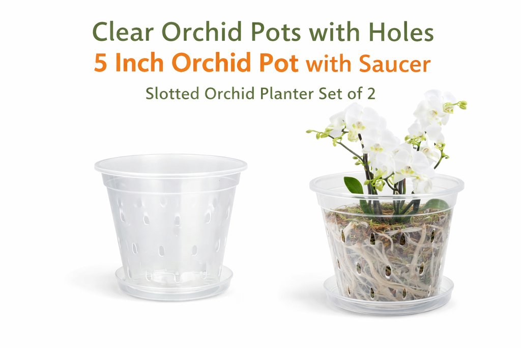 Clear 5 Inch Orchid Pots With Drainage Holes & Saucers Slotted Plastic Planters Indoor