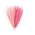 A decorative bundle of artificial pampas grass in two shades of pink, with one pale blush pink and one vibrant medium pink, tied together at the base on a solid white background.