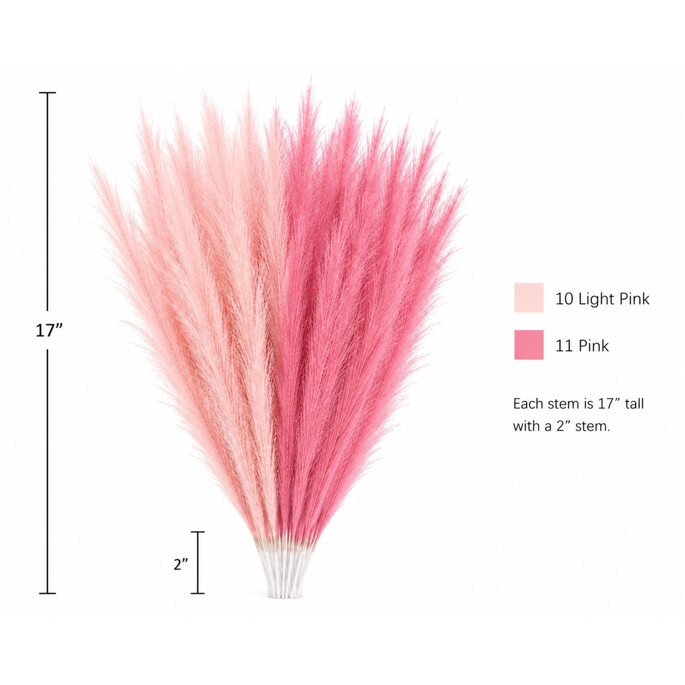 Pink pampas grass decorative bundle with two shades of pink shown on a white background, with measurement labels indicating 17 inches tall and a 2-inch stem base.