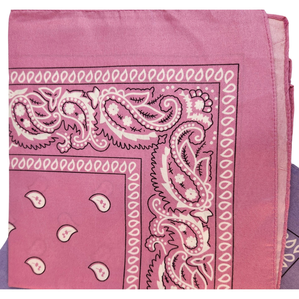 Bandanas 21x21" Western Cowboy Cowgirl - Pink Purple Gray Paisley Square Scarves 3 Pack