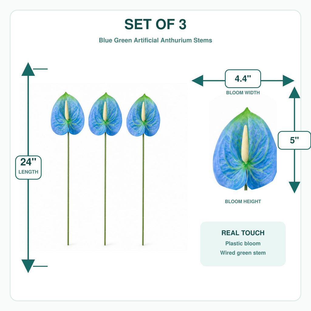 Set of 3 blue green artificial anthurium stems with dimension labels showing 24-inch length, 4.4-inch bloom width, and 5-inch bloom height on a white background.