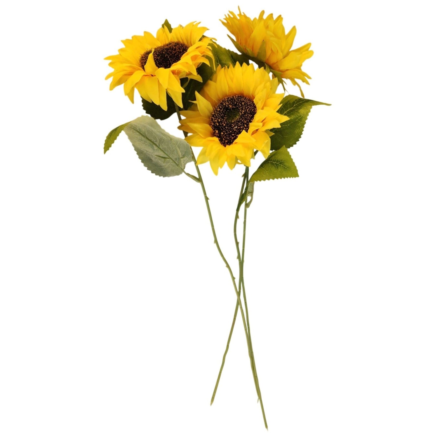 Three sunflowers with green stems on a white background