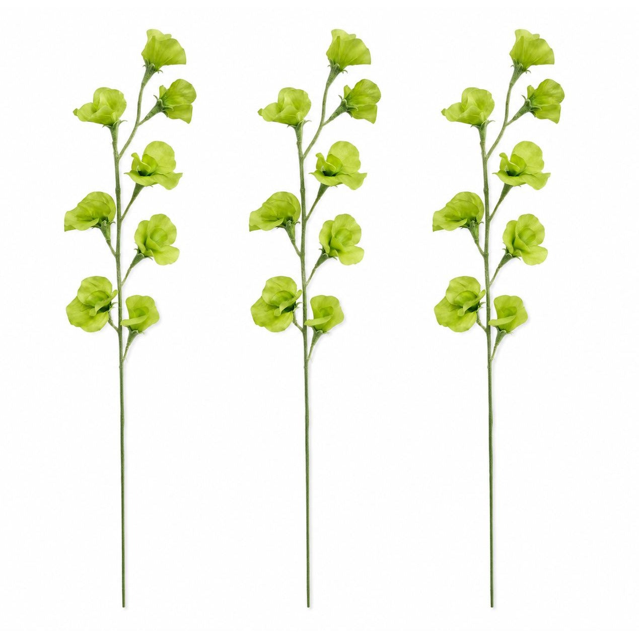 Light Green Artificial Sweet Pea Stems Set of 3 24 Inch Faux Silk Flowers Summer Wedding Floral Decor