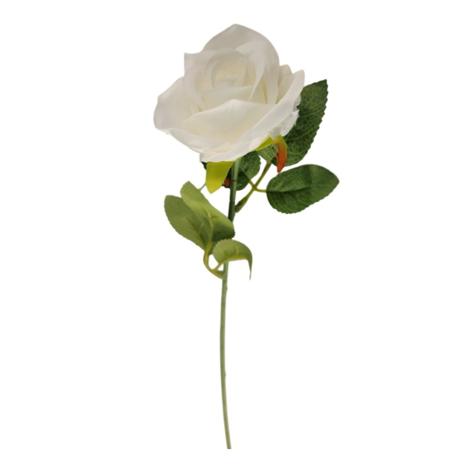 White artificial rose with green leaves on a white background