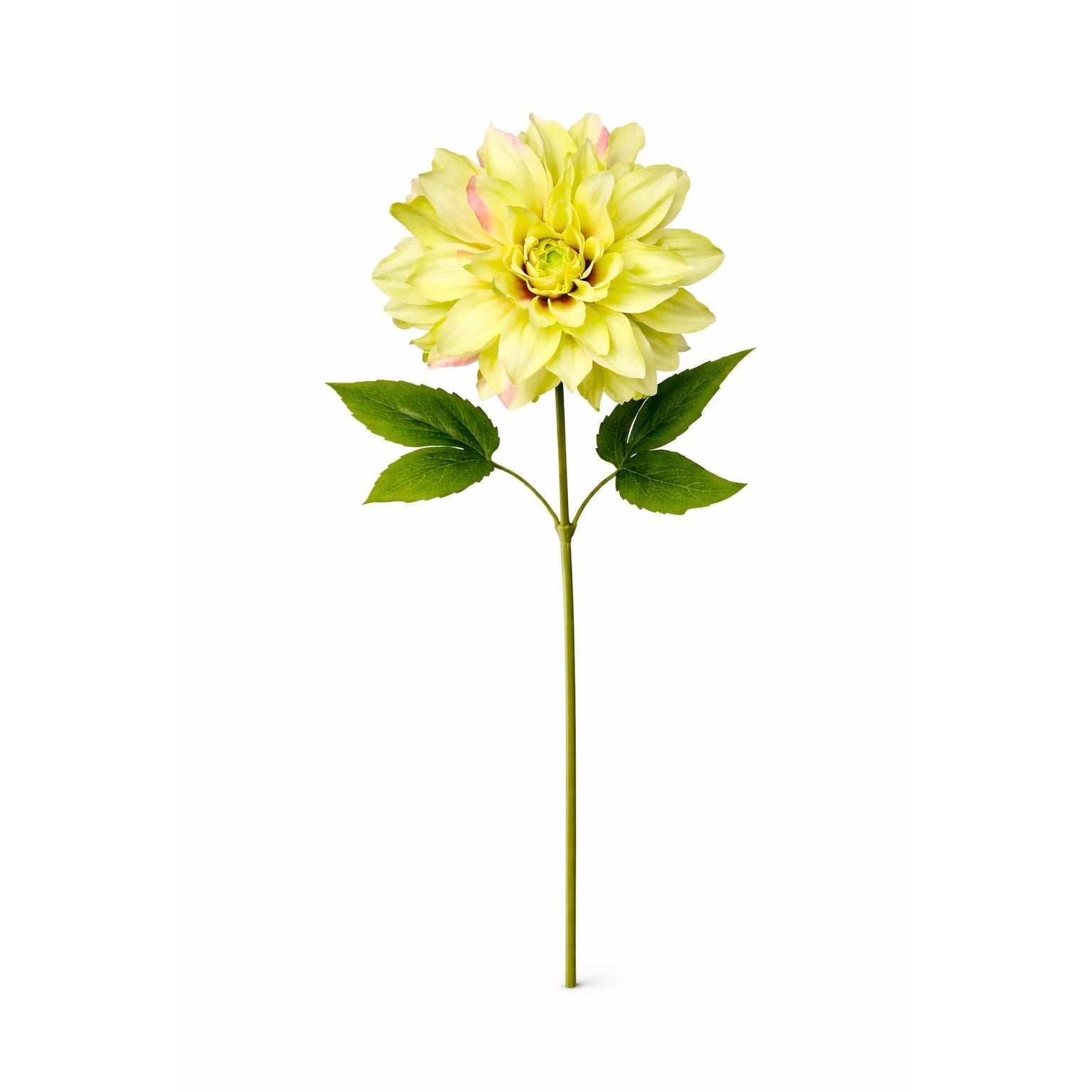 Green Dahlia Stem Faux Flower 24 Inch 5 Inch Bloom Light Green Artificial Dahlia Spring Floral Centerpiece Decor
