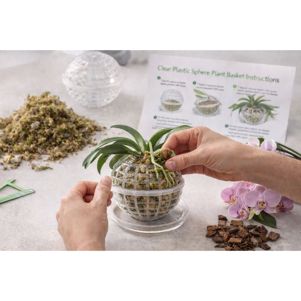 Clear Plastic Sphere Plant Basket 5 Inch Set of 2 | Orchid Hanging Epiphyte Ventilated Root Pot