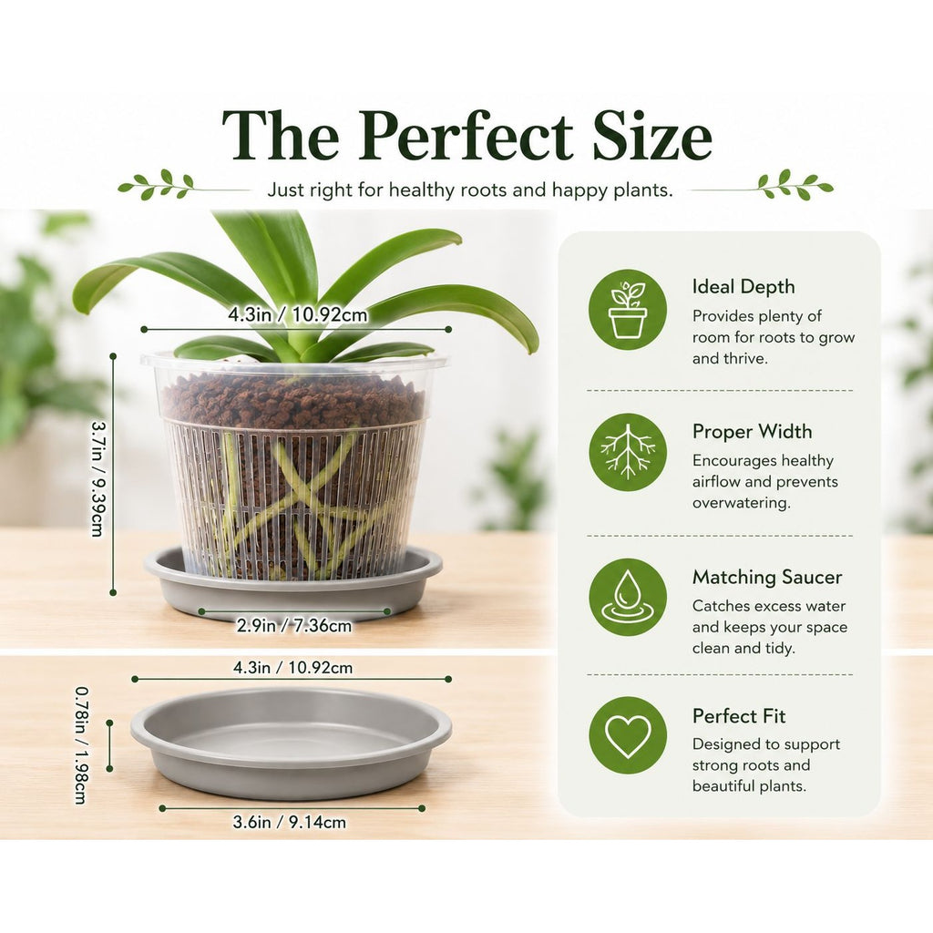 4.3 Inch Clear Orchid Pot with Saucer, Clear Nursery Pot, Slotted Orchid Planter, Transparent Plant Pot, Small Houseplant Pot Indoor Planter