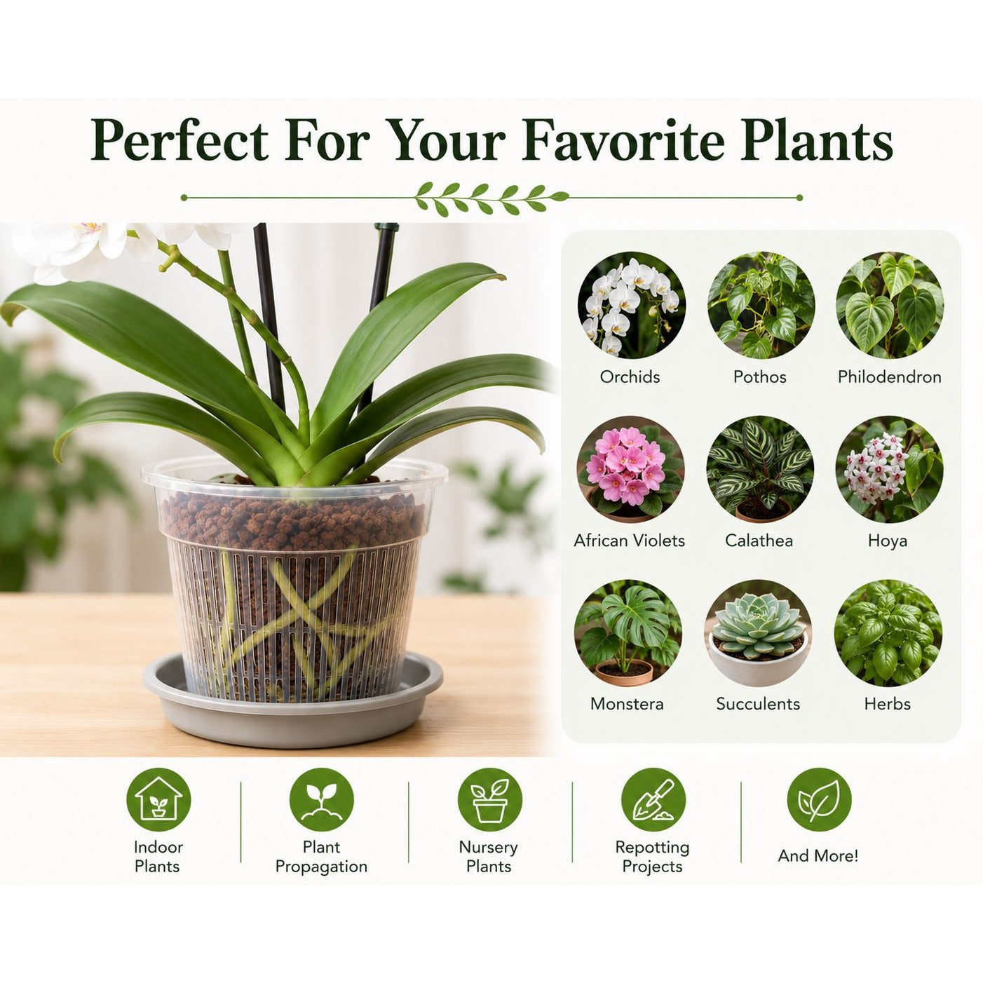 4.3 Inch Clear Orchid Pot with Saucer, Clear Nursery Pot, Slotted Orchid Planter, Transparent Plant Pot, Small Houseplant Pot Indoor Planter