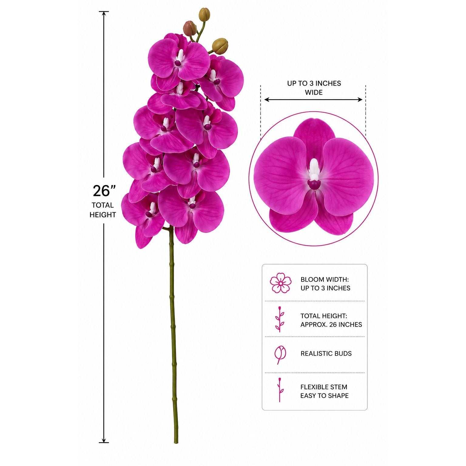Pink orchid with measurements and details on a white background