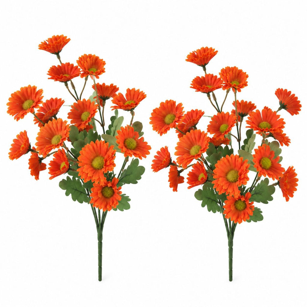 Orange Daisy Mum Bushes Set of 2, 14-Inch, 30 Fall Blooms