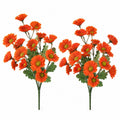 Orange Daisy Mum Bushes Set of 2, 14-Inch, 30 Fall Blooms