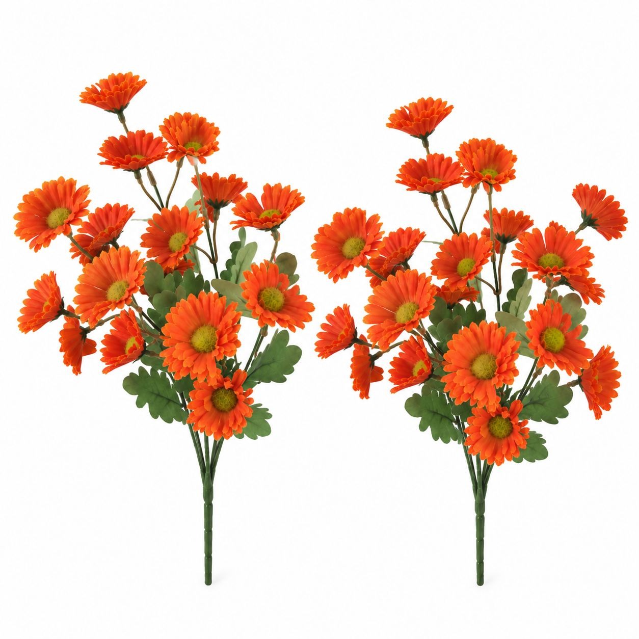 Orange Daisy Mum Bushes Set of 2, 14-Inch, 30 Fall Blooms