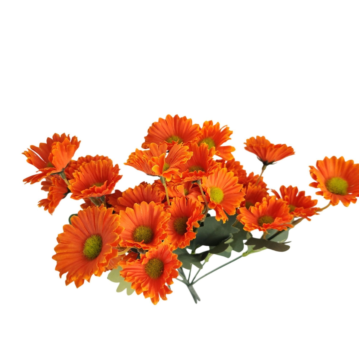 Orange Daisy Mum Bushes Set of 2, 14-Inch, 30 Fall Blooms