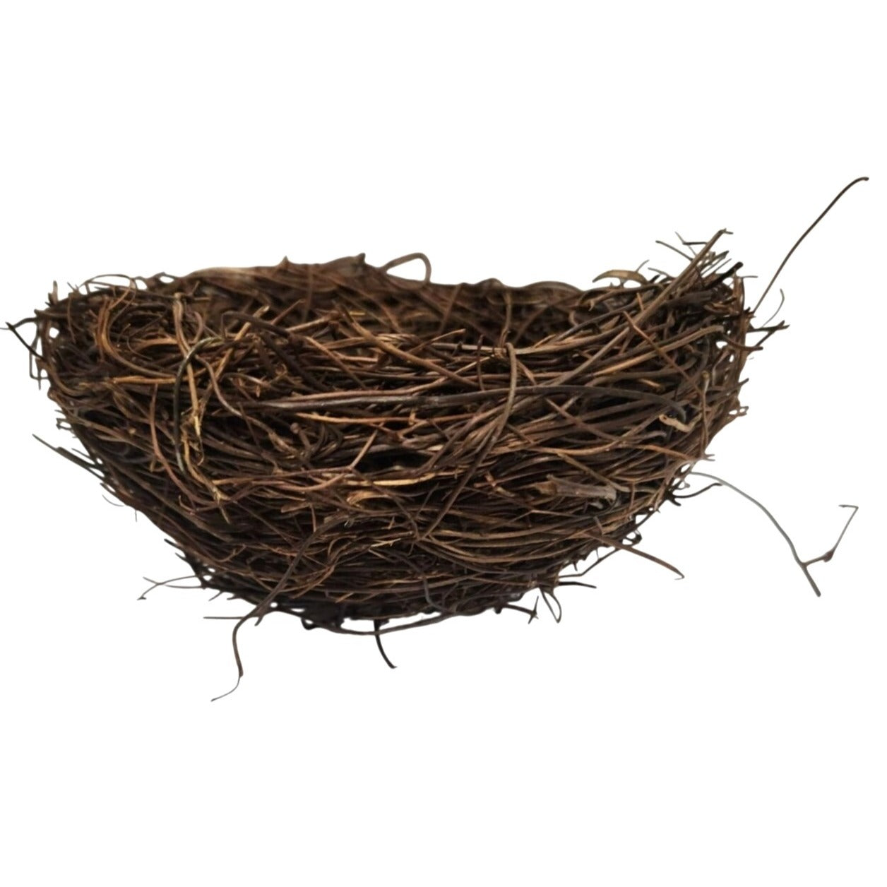 Rustic Twig Bird Nest 6 Inch Natural Handcrafted Nest Farmhouse Spring Decor