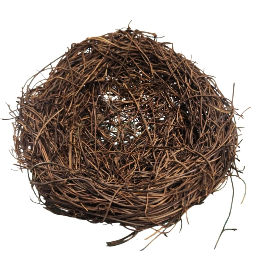 Rustic Twig Bird Nest 6 Inch Natural Handcrafted Nest Farmhouse Spring Decor