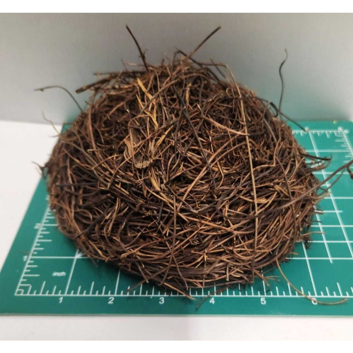 Rustic Twig Bird Nest 6 Inch Natural Handcrafted Nest Farmhouse Spring Decor