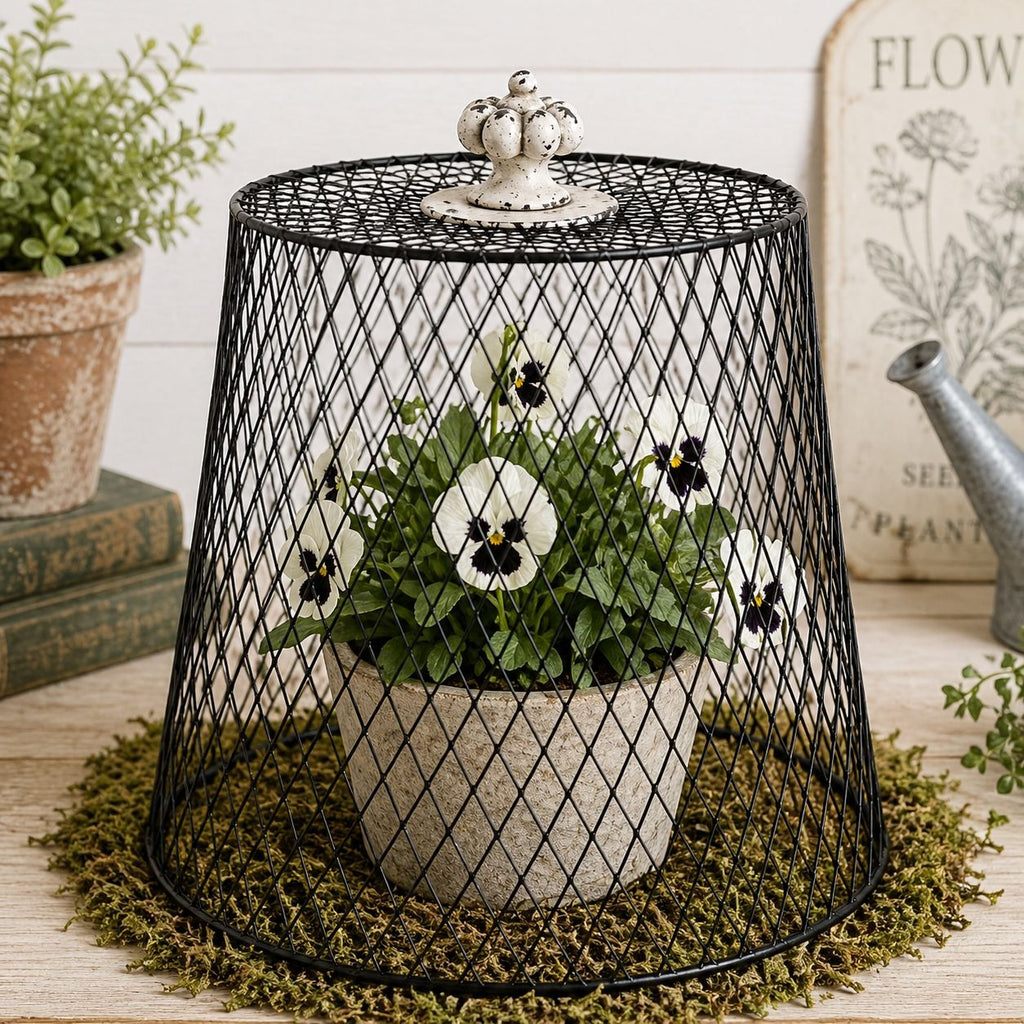 Black Wire Mesh Basket Garden Cloche Plant Protector Farmhouse Storage Basket DIY Rustic Decor