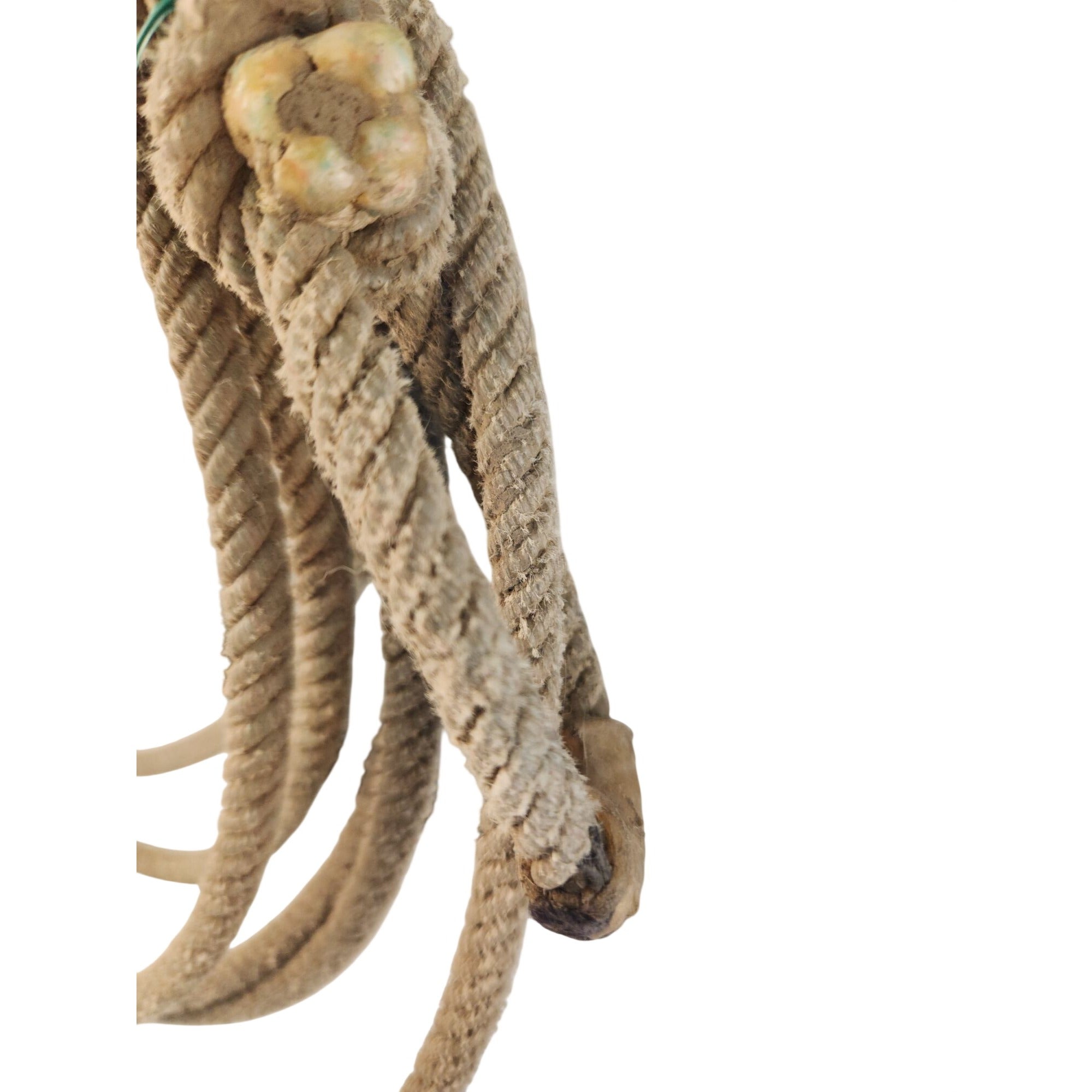 Western Rope 25 Ft Used Lariat Cowgirl Cowboy Equipment Wall Decor Roping Supplies Nylon Cowhand Rodeo