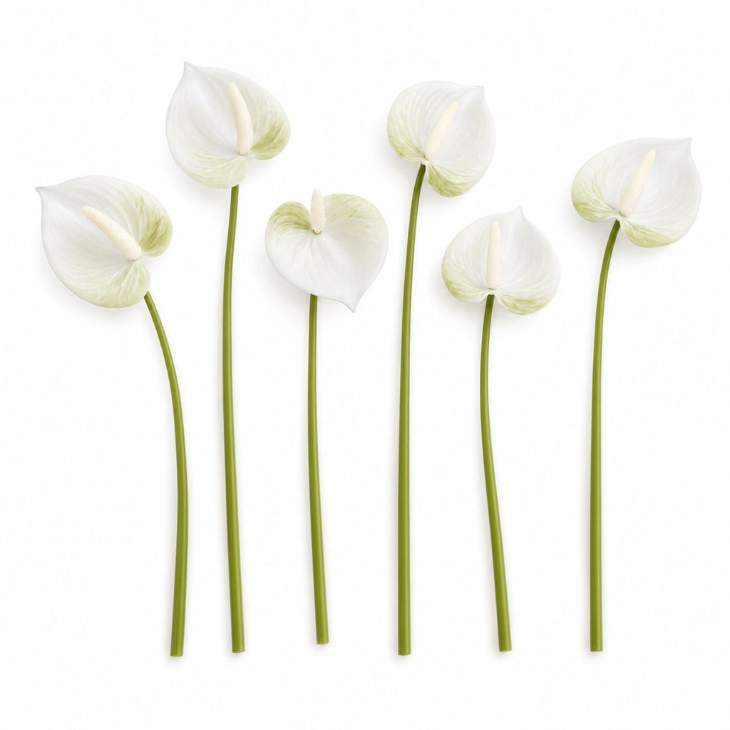 White Green Real-Touch Artificial Anthurium Stems, Set of 6, 11 Inch Faux Tropical Flowers