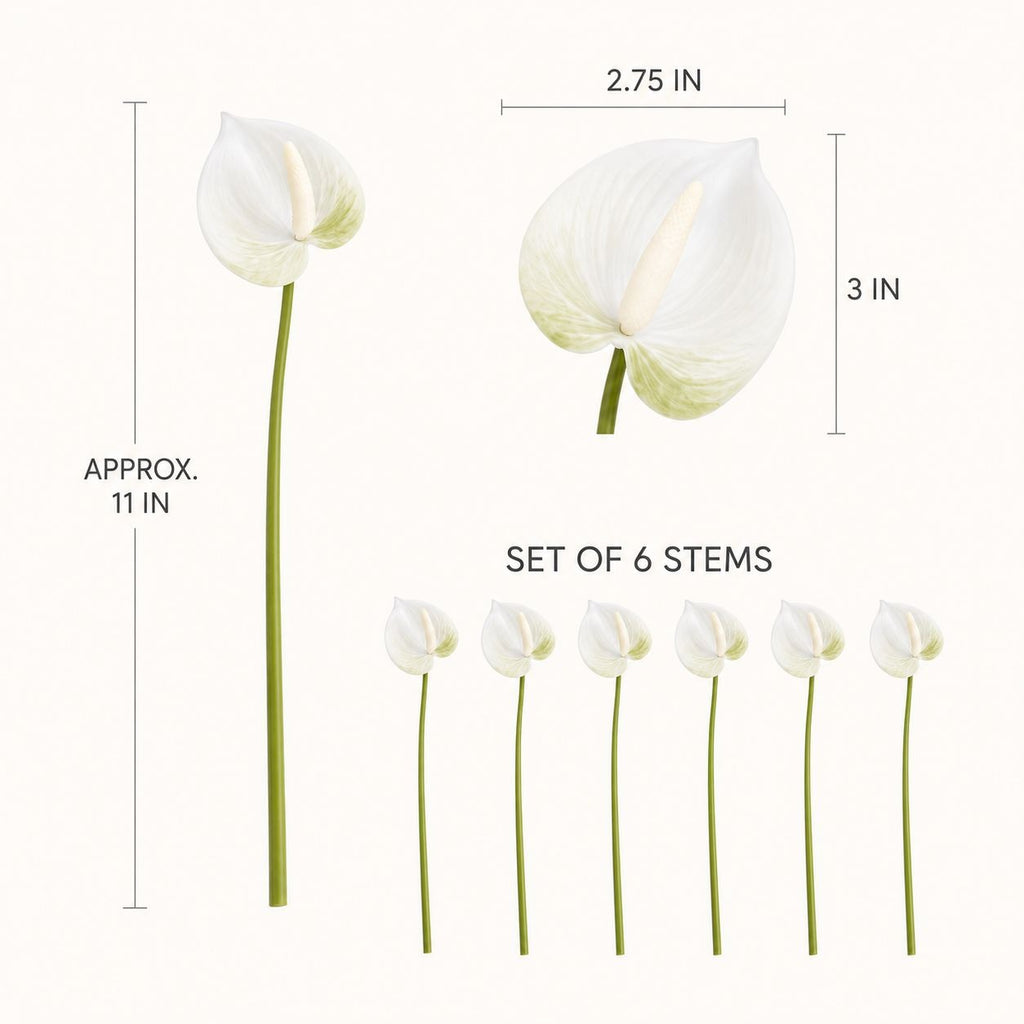 White Green Real-Touch Artificial Anthurium Stems, Set of 6, 11 Inch Faux Tropical Flowers