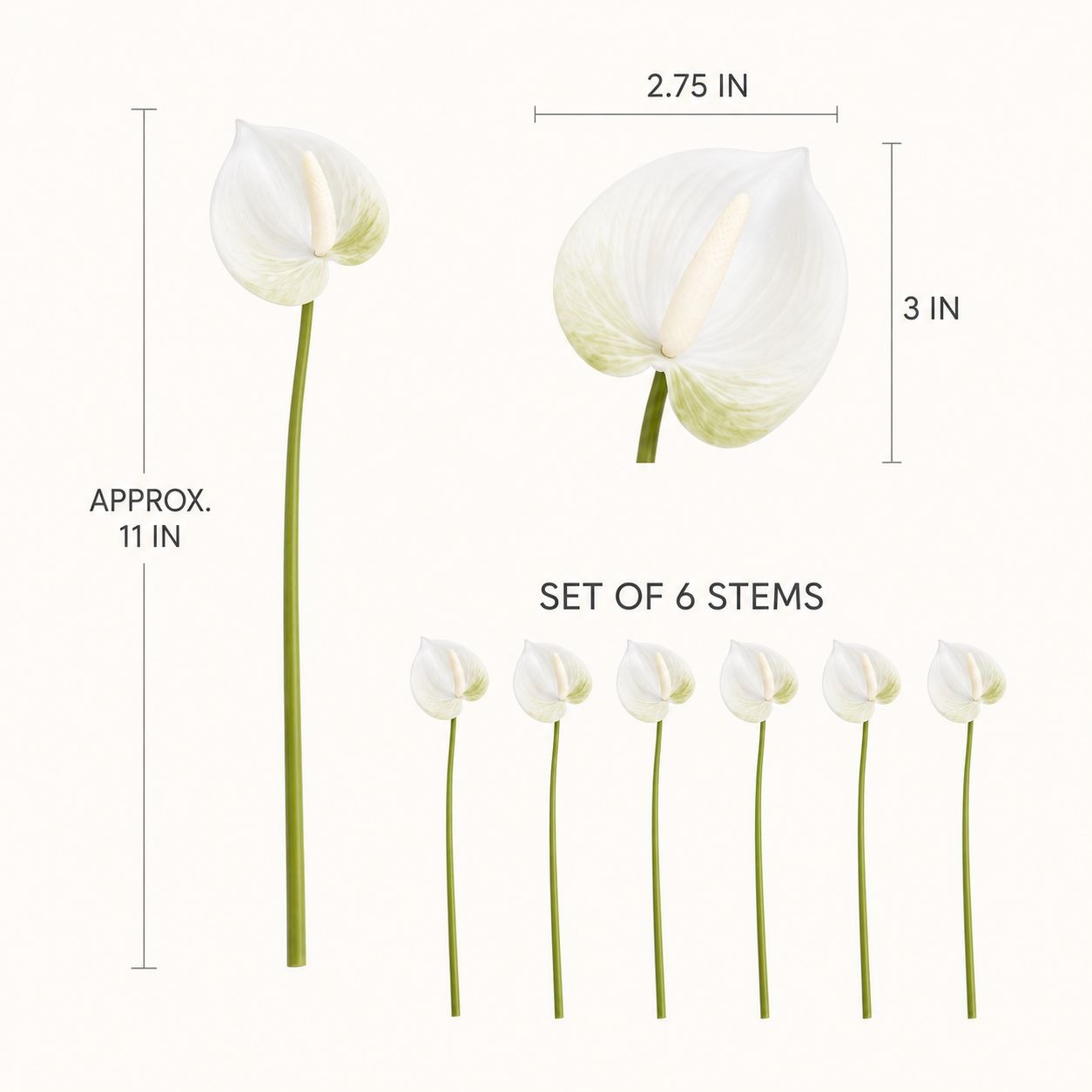 White Green Real-Touch Artificial Anthurium Stems, Set of 6, 11 Inch Faux Tropical Flowers