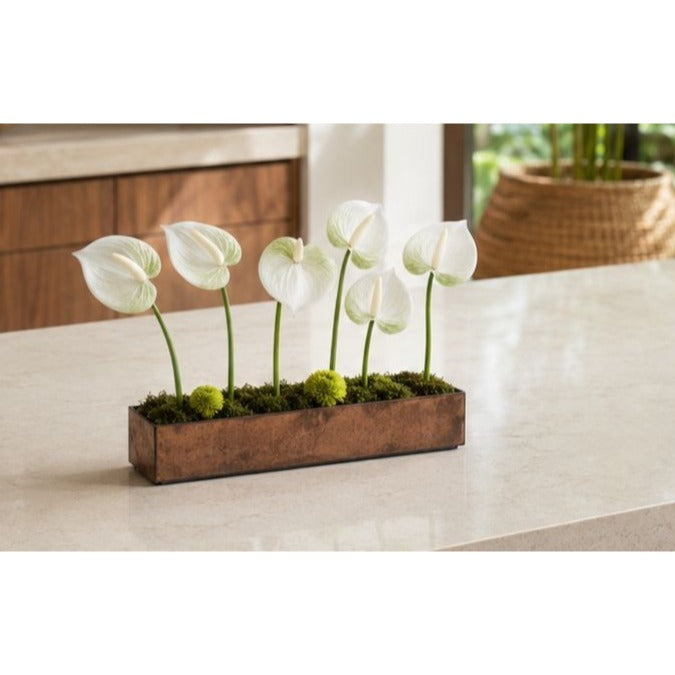 White Green Real-Touch Artificial Anthurium Stems, Set of 6, 11 Inch Faux Tropical Flowers