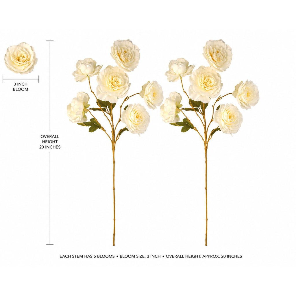 Cream Ranunculus Stems Set of 2 | Faux Ranunculus Flowers | Artificial Ivory Floral Stems | Farmhouse French Country Decor