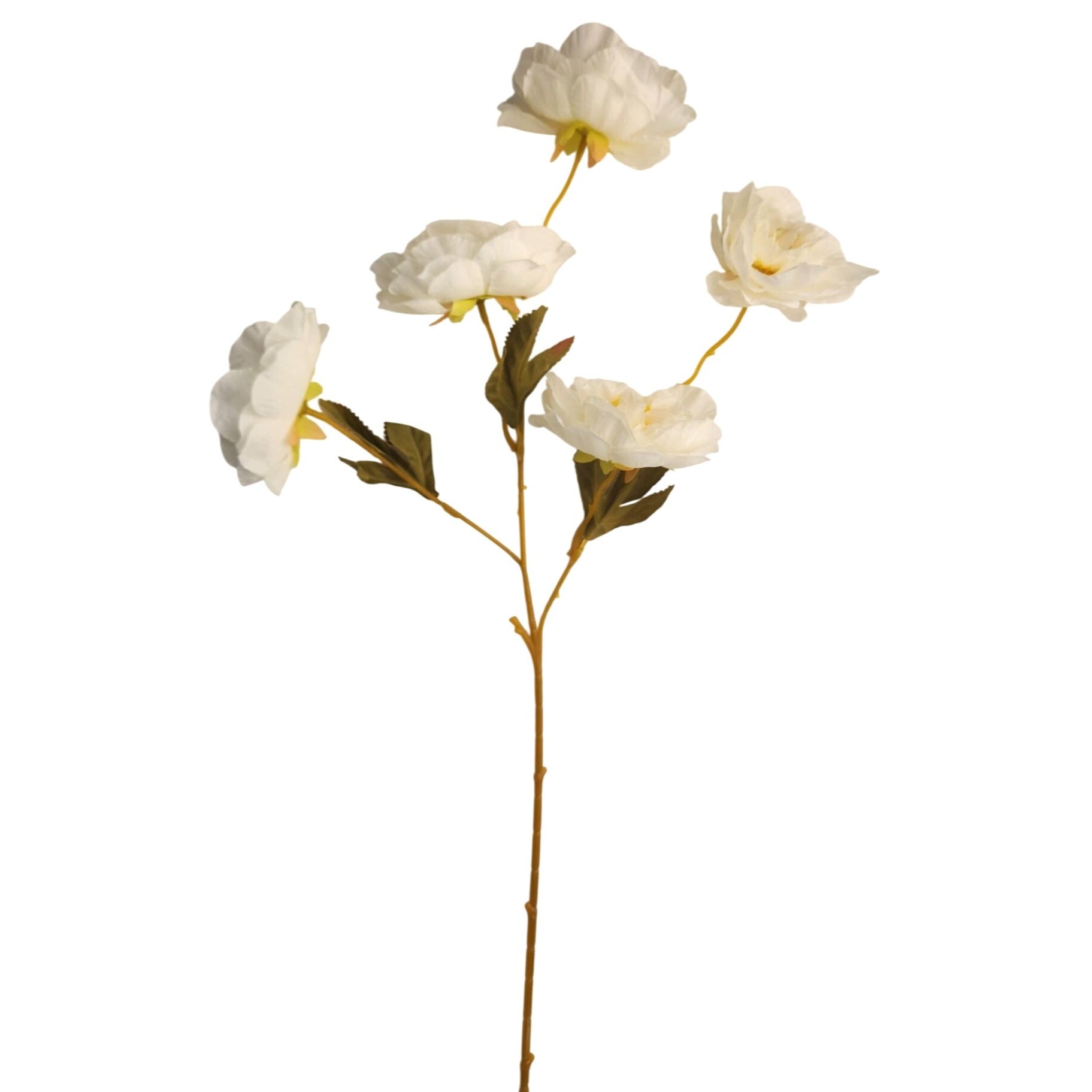 Cream Ranunculus Stems Set of 2 | Faux Ranunculus Flowers | Artificial Ivory Floral Stems | Farmhouse French Country Decor