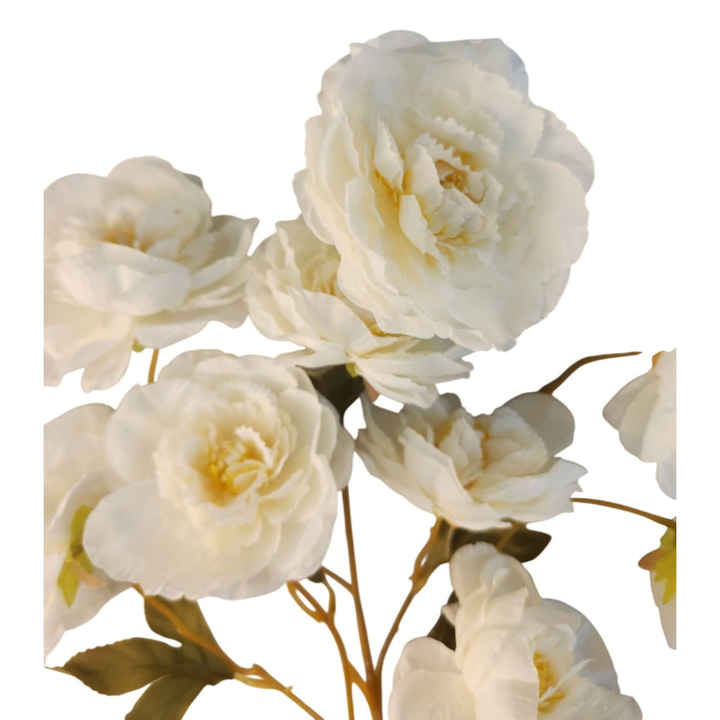 Cream Ranunculus Stems Set of 2 | Faux Ranunculus Flowers | Artificial Ivory Floral Stems | Farmhouse French Country Decor