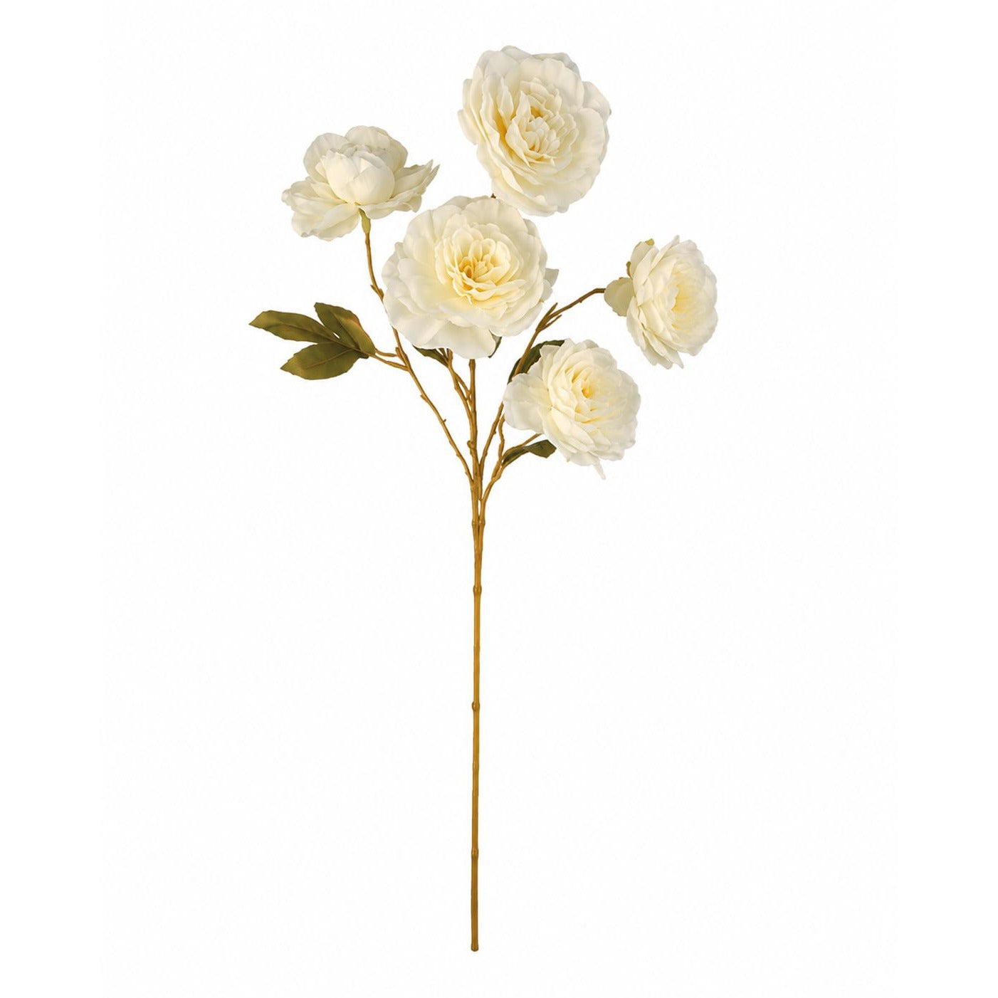 Cream Ranunculus Stems Set of 2 | Faux Ranunculus Flowers | Artificial Ivory Floral Stems | Farmhouse French Country Decor