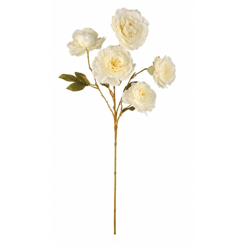 Cream Ranunculus Stems Set of 2 | Faux Ranunculus Flowers | Artificial Ivory Floral Stems | Farmhouse French Country Decor