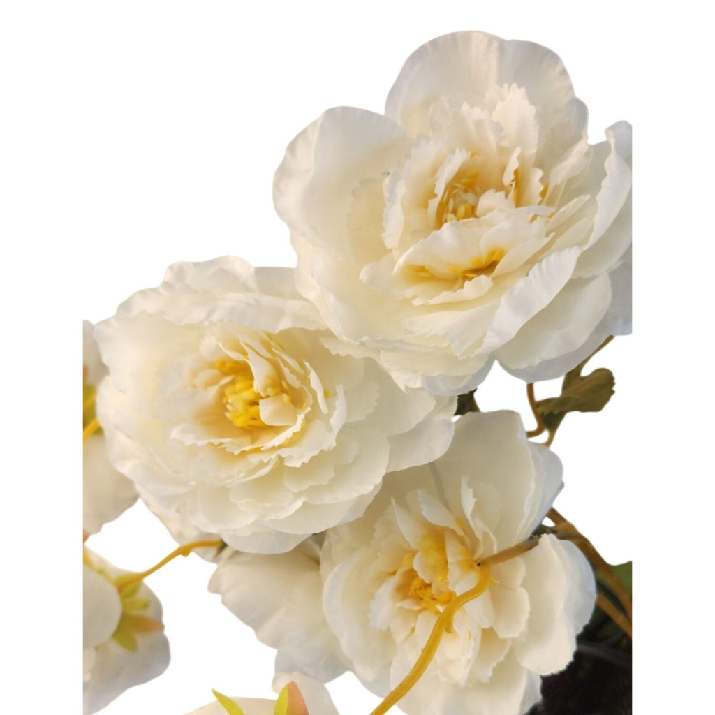 Cream Ranunculus Stems Set of 2 | Faux Ranunculus Flowers | Artificial Ivory Floral Stems | Farmhouse French Country Decor