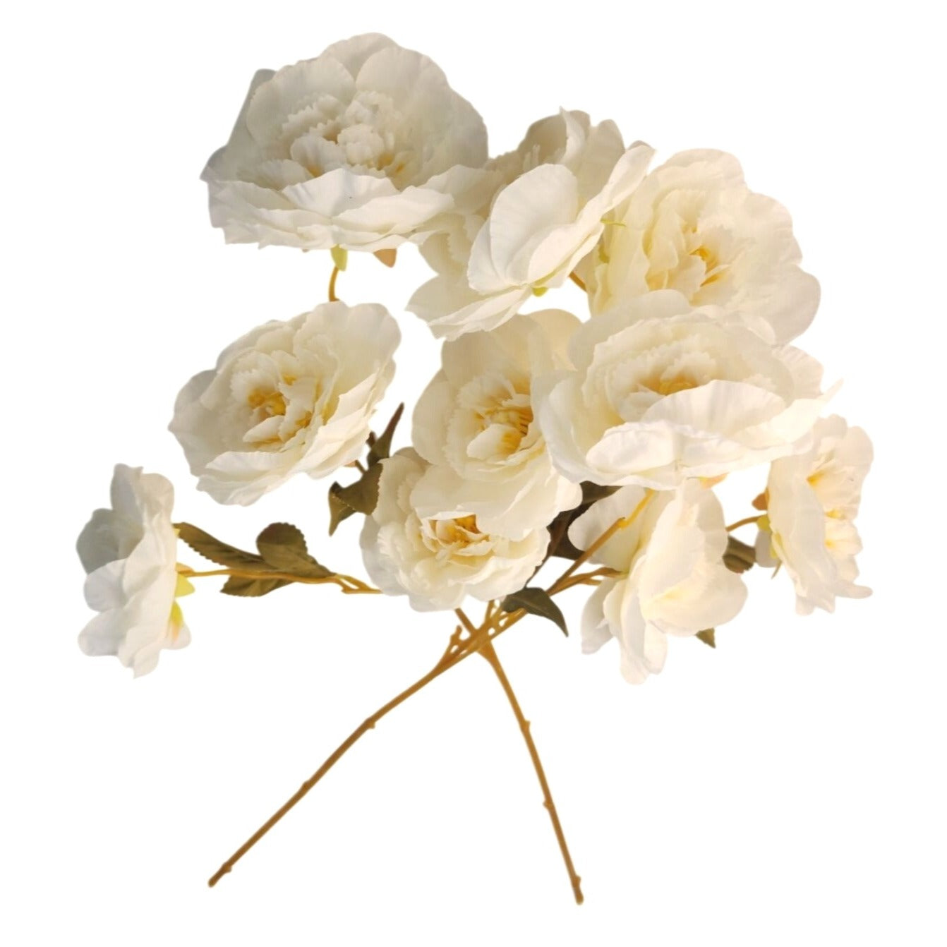 Cream Ranunculus Stems Set of 2 | Faux Ranunculus Flowers | Artificial Ivory Floral Stems | Farmhouse French Country Decor