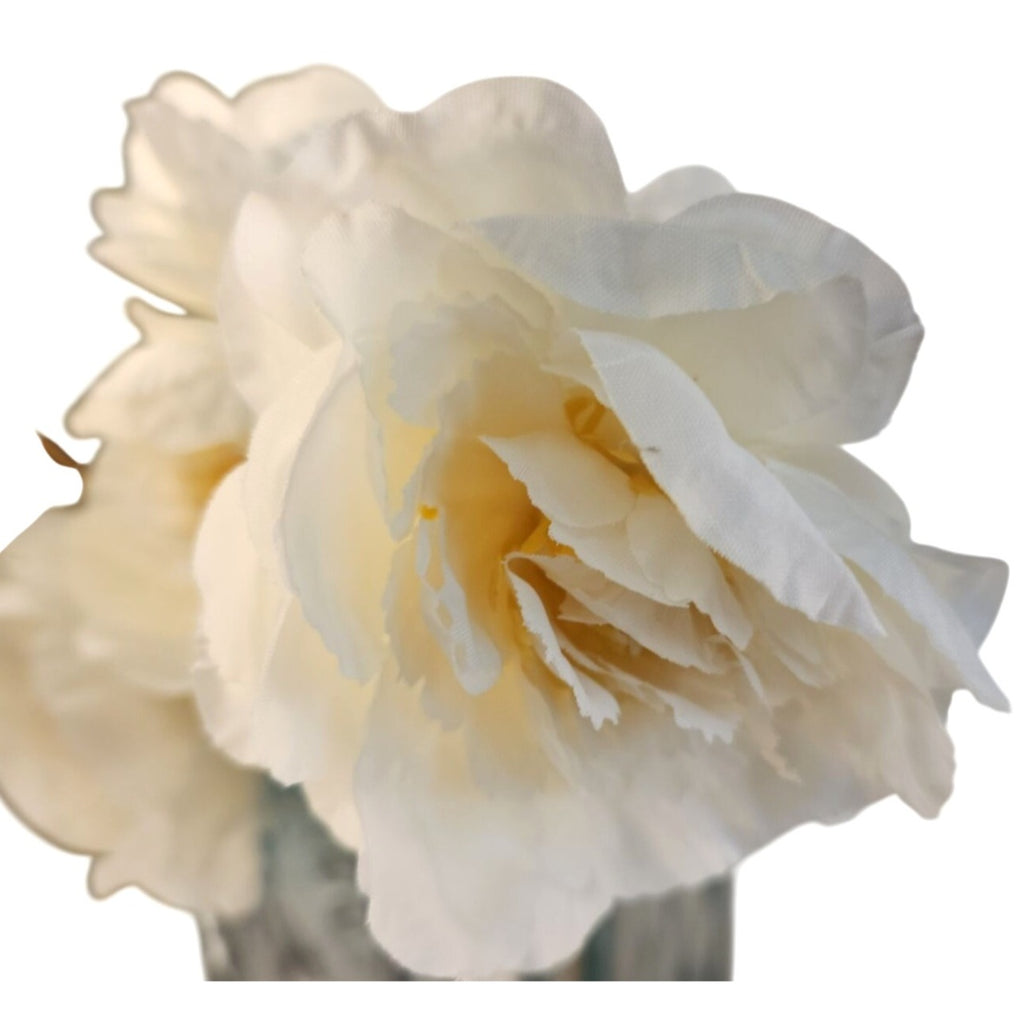 Cream Ranunculus Stems Set of 2 | Faux Ranunculus Flowers | Artificial Ivory Floral Stems | Farmhouse French Country Decor
