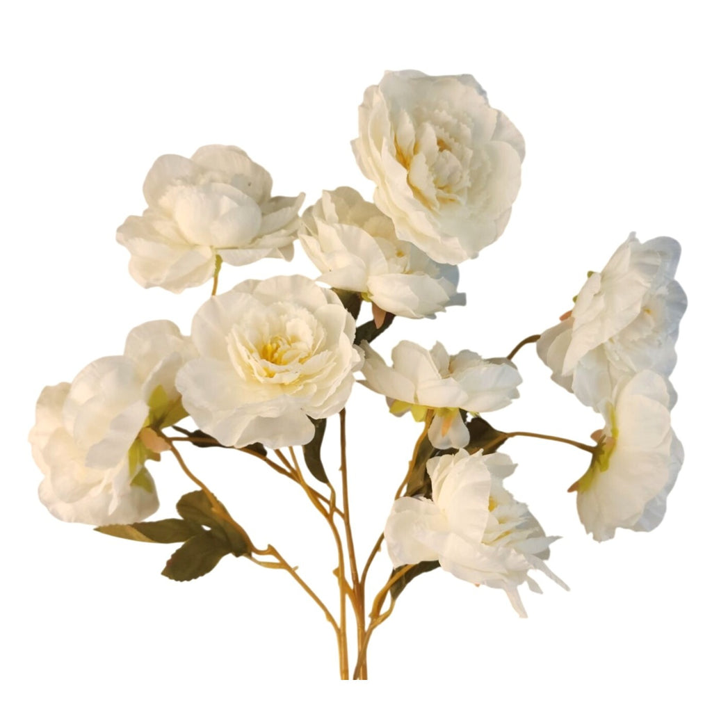 Cream Ranunculus Stems Set of 2 | Faux Ranunculus Flowers | Artificial Ivory Floral Stems | Farmhouse French Country Decor